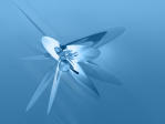 Ambient ismertet�